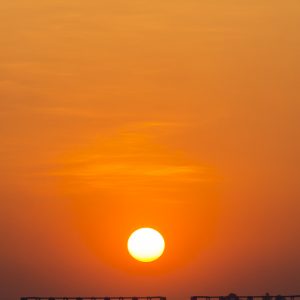 1000325